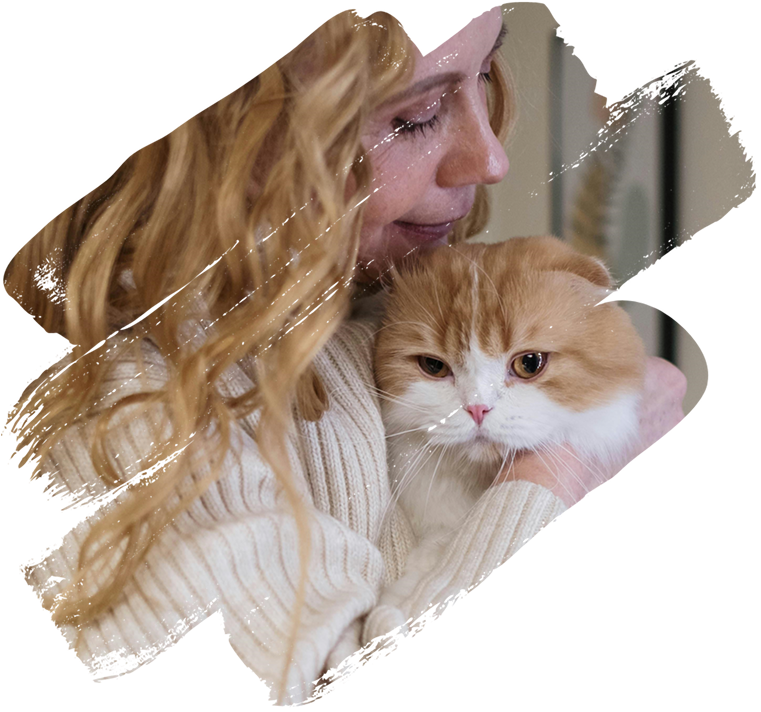 Pet insurance Pet insurance