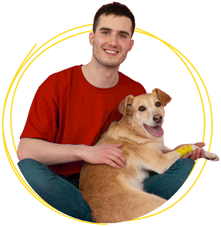 wilko Pet insurance wilko Pet insurance