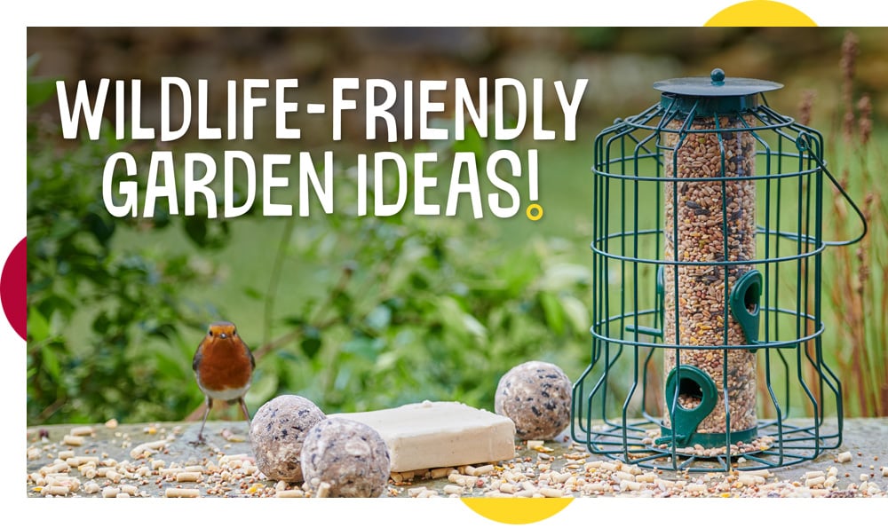 5 ways to attract wildlife to your garden 5 ways to attract wildlife to your garden