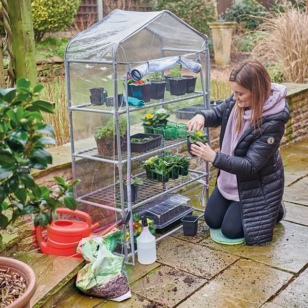 Greenhouse Greenhouse