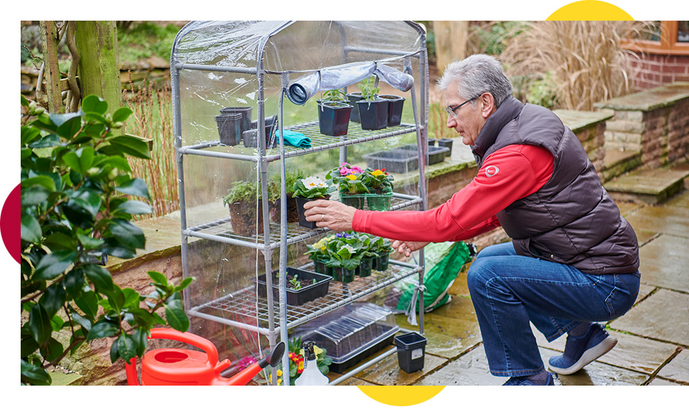 A beginner’s guide to greenhouse growing A beginner’s guide to greenhouse growing